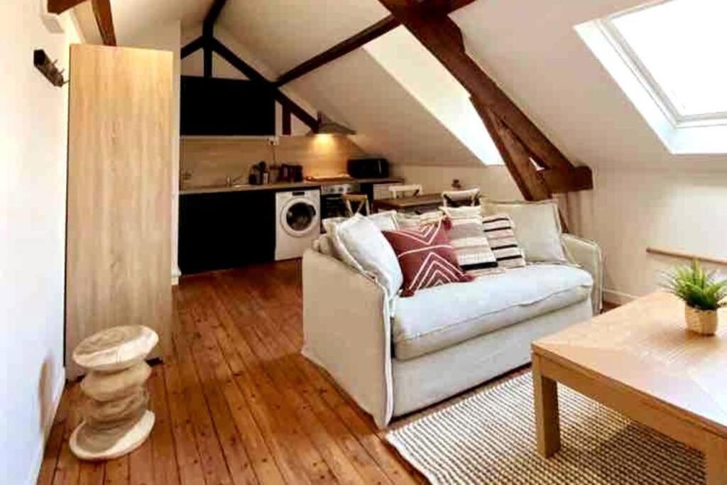 Apartment Le Bali Appart' T1 Au Centre Du Mans Le Mans
